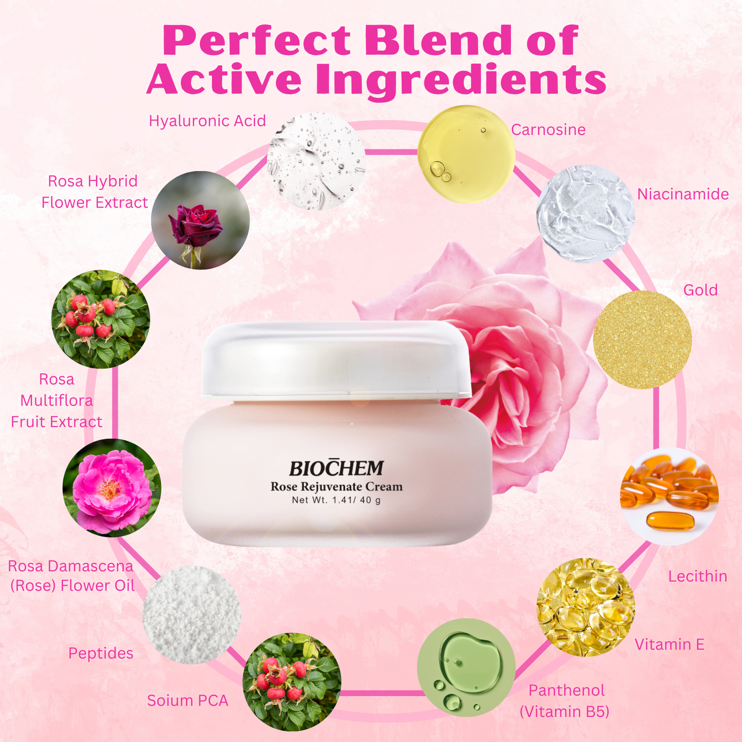 Rose Rejuvenate Cream - Anti-aging Facial Moisturizer