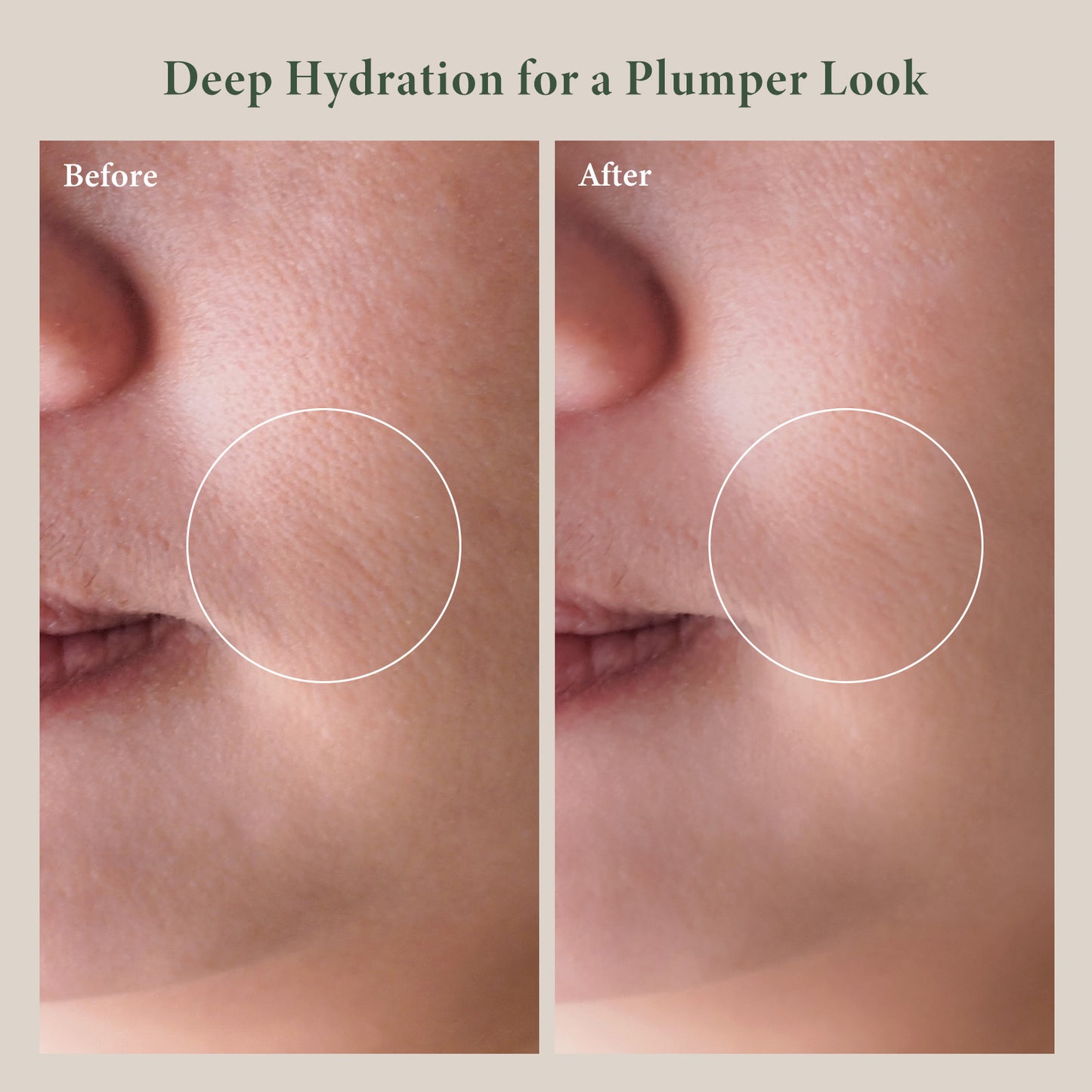 8-Oligopeptide Facial Anti-aging Ampoule