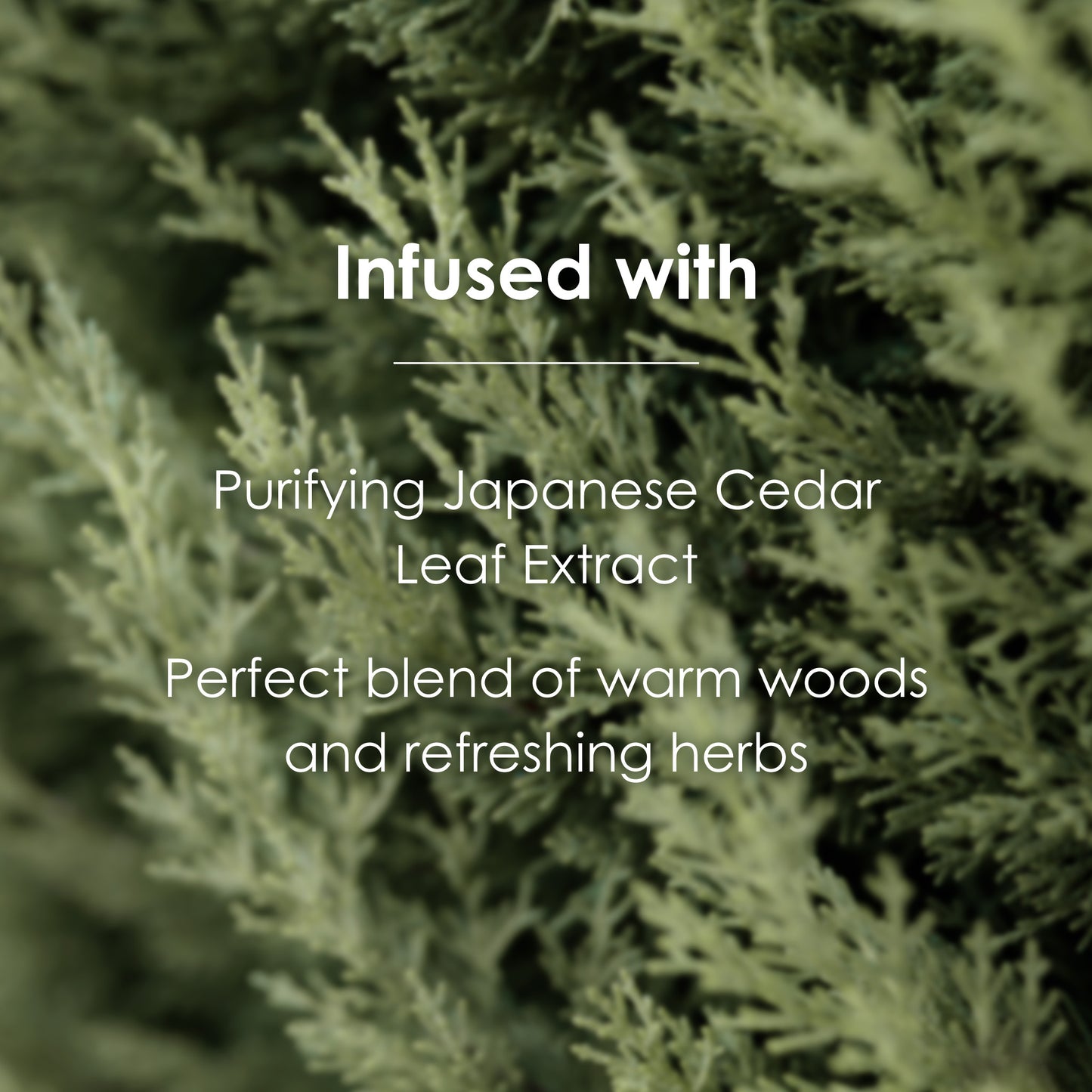 Phytoncid Transparent Soap - Face & Body Beauty Bar Soap